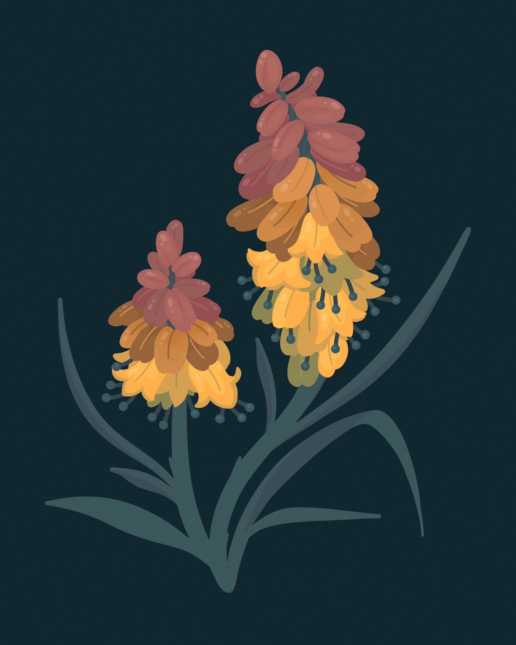 Hot Poker Hot Poker