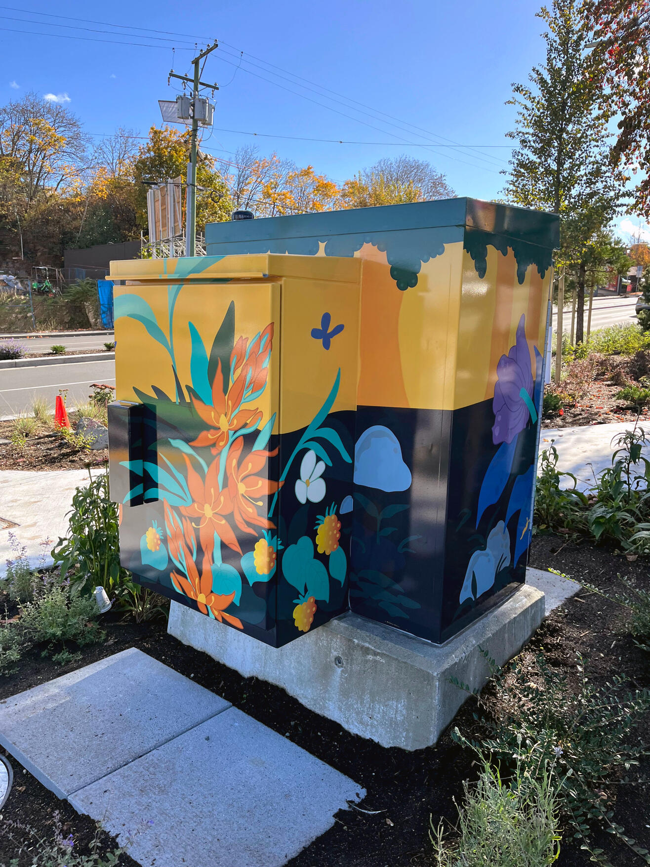 Nanaimo Kiosk Box 1 Nanaimo Kiosk Box 1