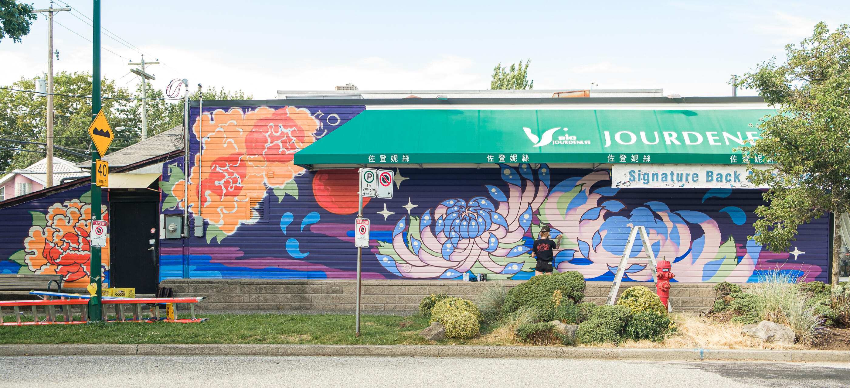 VMF